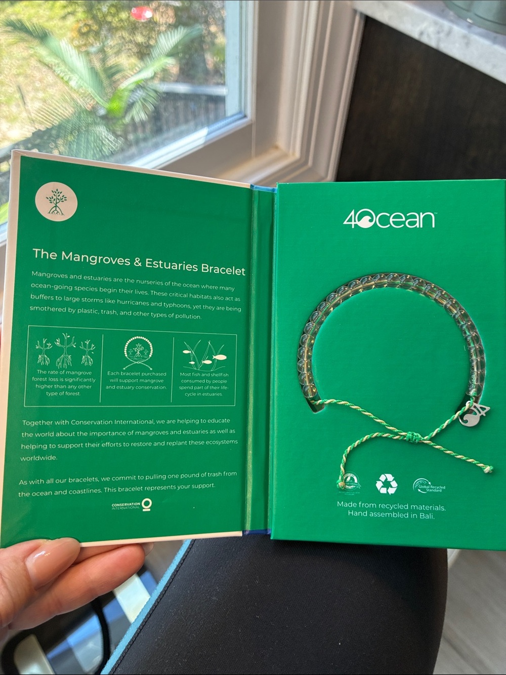 4Ocean Mangroves & Estuaries Bracelet - Green